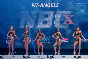 FIT-ANGELS 1 раунд